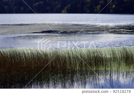 Late autumn Oze Late autumn Oze 92518278