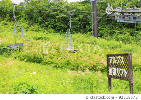 Goryu Alpine Botanical Garden in full bloom 92518578