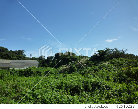 Country road Handa City, Aichi Prefecture 92519228