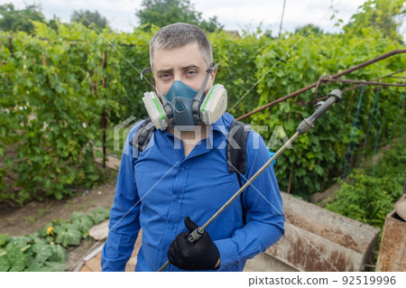 Farmer in a protective mask sprays grapes. Control of diseases of fruit trees. Insecticides and pesticides in farming. Harvest protection. Manual sprayer. Mildew, oidium, anthracnose Farmer in a protective mask sprays grapes. Control of diseases of fruit trees. Insecticides and pesticides in farming. Harvest protection. Manual sprayer. Mildew, oidium, anthracnose 92519996