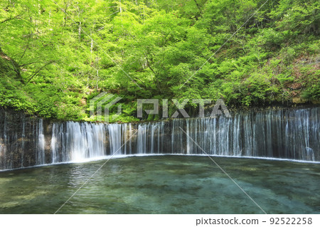 長野縣輕井澤市鮮綠色的白絲瀑布 92522258
