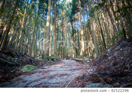森林照片。自然和山脈的形象。京峰森林。 森林照片。自然和山脈的形象。京峰森林。 92522296