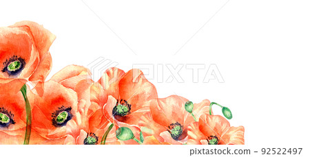Board of meadow red flowers poppy watercolor illustration isolated. 92522497
