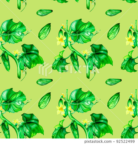 Seamless pattern of green cucumbers, vegetable watercolor illustration 92522499