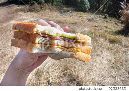 Photograph of handmade sandwich eating outdoors / Image of outdoor / lunch 92522685