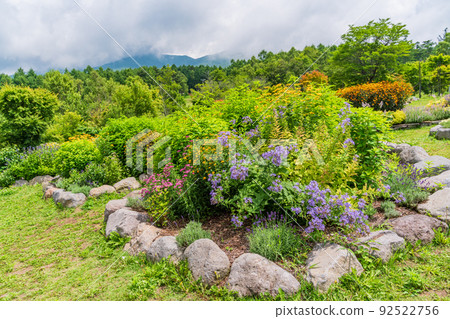 (Nagano) Fujimi Kogen Resort, Creative Forest Flower Field 92522756