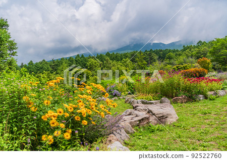 (Nagano) Fujimi Kogen Resort, Creative Forest Flower Field (Nagano) Fujimi Kogen Resort, Creative Forest Flower Field 92522760