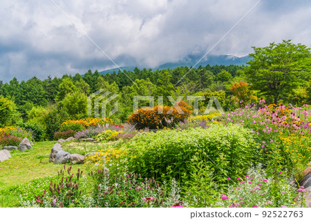 （長野）富士見高原度假村，創意森林花田 92522763