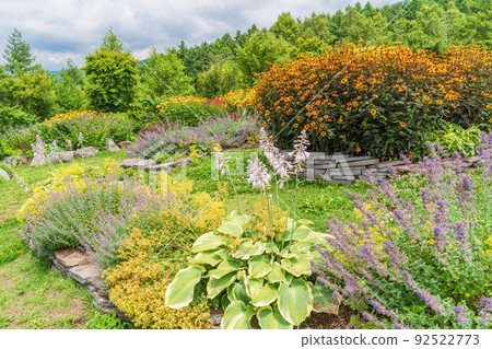 (Nagano) Fujimi Kogen Resort, Creative Forest Flower Field (Nagano) Fujimi Kogen Resort, Creative Forest Flower Field 92522773