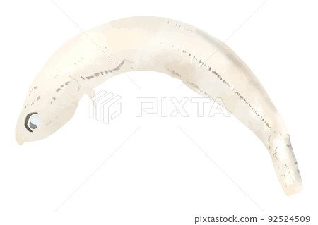 Shine Shine 92524509