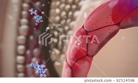 Hair follicles are small, pocket-like holes in our skin. 92524596