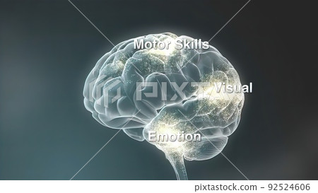 Dolly In Inside A 3D Human Head To A Brain With Neurons During Synapsis. Dolly In Inside A 3D Human Head To A Brain With Neurons During Synapsis. 92524606