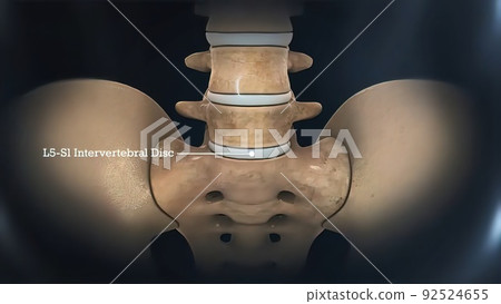 3D of Human Skeleton System on Black Background 92524655