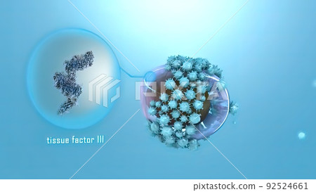 Differential roles of tissue factor and phosphatidylserine in activation of coag Differential roles of tissue factor and phosphatidylserine in activation of coag 92524661