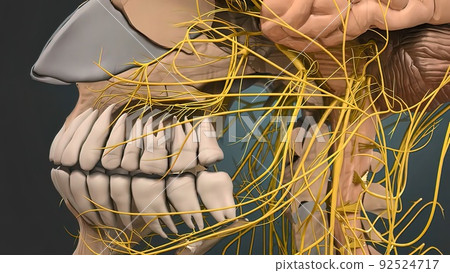 obstruction of the vessels of the brain 92524717