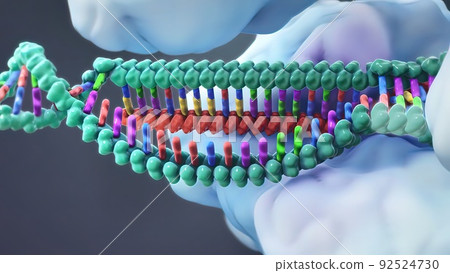 Mechanisms that induce or suppress the expression of a gene 92524730