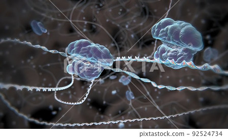 Mechanisms that induce or suppress the expression of a gene 92524734