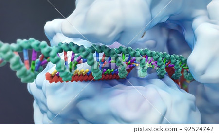 Mechanisms that induce or suppress the expression of a gene Mechanisms that induce or suppress the expression of a gene 92524742