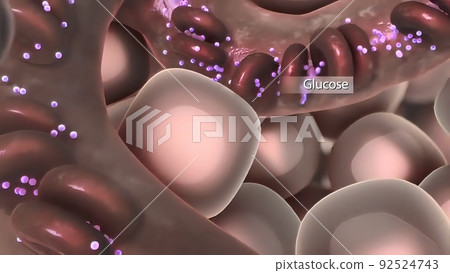 mechanism of action of insulin, glucose, Human Insulin, structure of the molecul 92524743