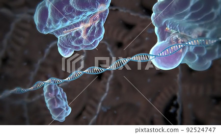Mechanisms that induce or suppress the expression of a gene Mechanisms that induce or suppress the expression of a gene 92524747