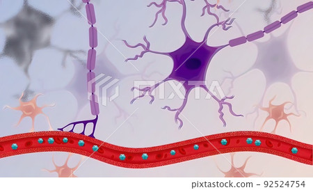 The process of transformation of genes with DNA sequences into functional protein structures. The process of transformation of genes with DNA sequences into functional protein structures. 92524754
