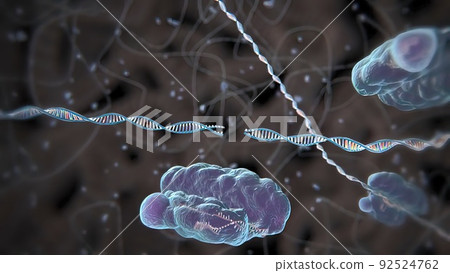 Mechanisms that induce or suppress the expression of a gene Mechanisms that induce or suppress the expression of a gene 92524762
