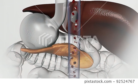 mechanism of action of insulin, glucose, Human Insulin, structure of the molecul 92524767