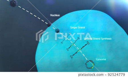 DNA mutation, a mutation is a change in a DNA sequence, mutations 92524779
