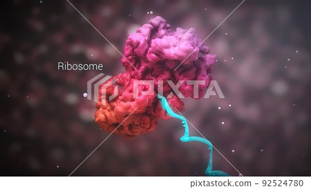 DNA mutation, a mutation is a change in a DNA sequence, mutations DNA mutation, a mutation is a change in a DNA sequence, mutations 92524780
