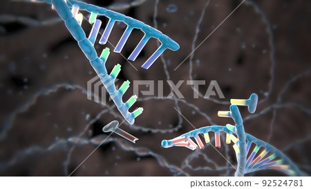 Mechanisms that induce or suppress the expression of a gene Mechanisms that induce or suppress the expression of a gene 92524781
