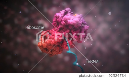 DNA mutation, a mutation is a change in a DNA sequence, mutations DNA mutation, a mutation is a change in a DNA sequence, mutations 92524784