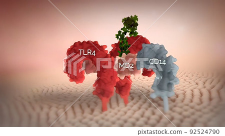Chemical Biology of Glycosylphosphatidylinositol Anchors Chemical Biology of Glycosylphosphatidylinositol Anchors 92524790