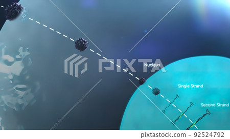 DNA mutation, a mutation is a change in a DNA sequence, mutations 92524792