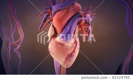 heart valve inflammation 3d medical heart valve inflammation 3d medical 92524795