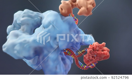 Mechanisms that induce or suppress the expression of a gene Mechanisms that induce or suppress the expression of a gene 92524796