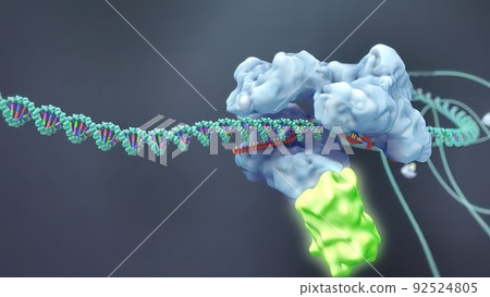 Mechanisms that induce or suppress the expression of a gene Mechanisms that induce or suppress the expression of a gene 92524805