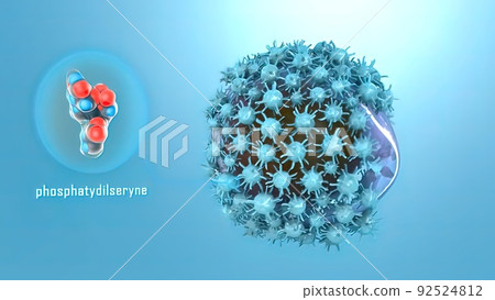 Differential roles of tissue factor and phosphatidylserine in activation of coag 92524812