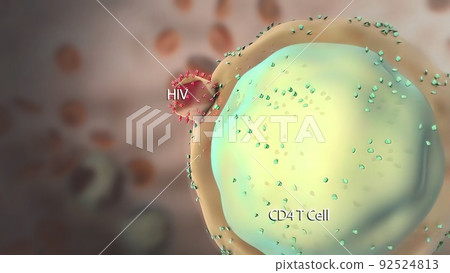 Destructive effect of virus on cells 92524813