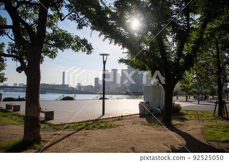 Sunbeams in the park Sunbeams in the park 92525050