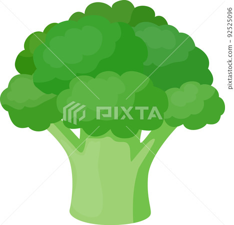 Simple and cute broccoli illustration 92525096