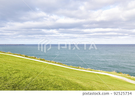 Views from a green meadow on the shore of a cargo ship sailing. Oil transport concept 92525734
