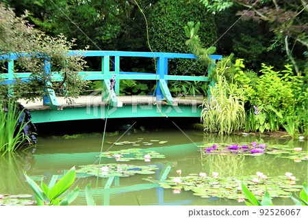Water lily bridge Water lily bridge 92526067