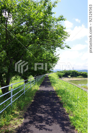 Bicycle path in early summer ... Yasugi City, Shimane Prefecture: Sunny 92526563