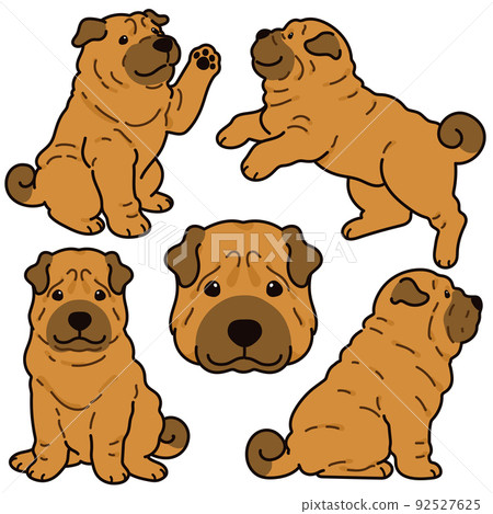 Simple and cute Shar Pei illustration set with main line Simple and cute Shar Pei illustration set with main line 92527625