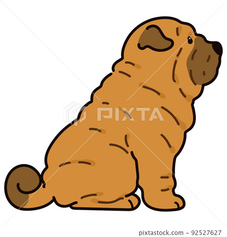 沙皮狗與主線側身坐著的簡單可愛插圖 92527627