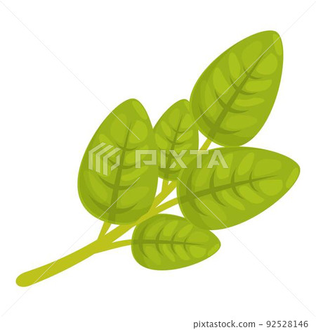 Organic oregano icon cartoon vector. Leaf herb. Garden spice Organic oregano icon cartoon vector. Leaf herb. Garden spice 92528146