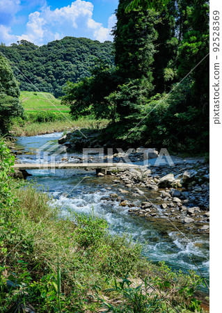 River image River image 92528369