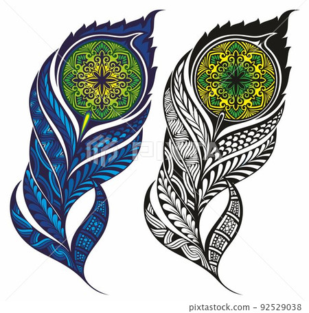 Set of decorative Peacock feathers Set of decorative Peacock feathers 92529038