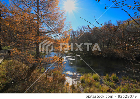 Tochigi Prefecture Late Autumn Oku-Nikko / Senjogahara and Yukawa Tochigi Prefecture Late Autumn Oku-Nikko / Senjogahara and Yukawa 92529079