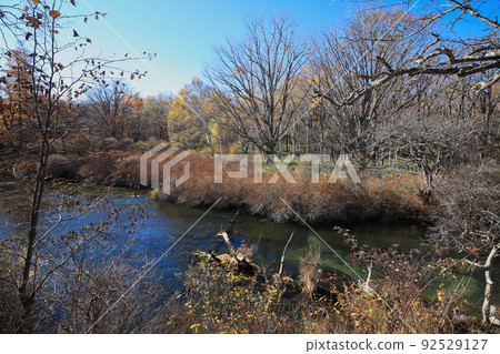 Tochigi Prefecture Late Autumn Oku-Nikko / Senjogahara and Yukawa 92529127